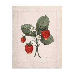Jilly Box Wild Strawberry Print